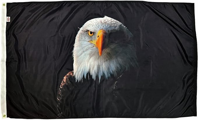 FlagSource Noble Eagle Nylon Decorative Flag, Made in the USA, 3x5'