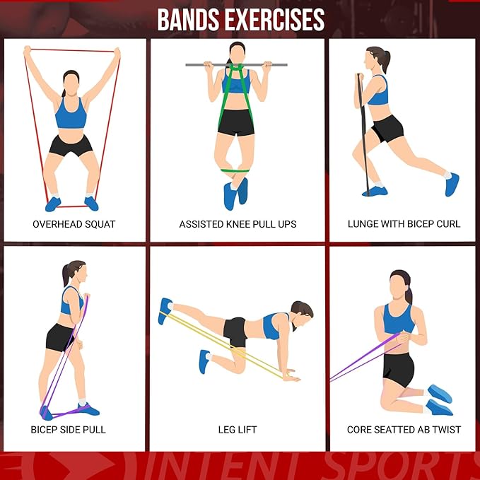 INTENT SPORTS Pull Up Assist Bands – Assistance and Resistance Bands for Pull-Up, Fitness, Body Stretching, Mobility Work, Weightlifting, Heavy Duty - Single/Set – Exercise Videos - eBook!