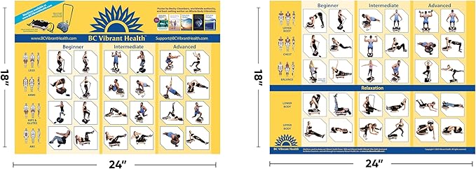 Full Body Vibration Poster Whole Body Vibration Plate Exercise Chart Workout Poster for Vibration Plate Exercise Machine