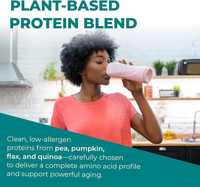 Reignite Wellness by JJ Virgin | Chocolate Plant-Based All-in-One Shake | New & Improved Formula | Plant Protein Powder, Vitamins, Minerals, Greens & Aminos | 20g of Plant Protein | 30 Servings