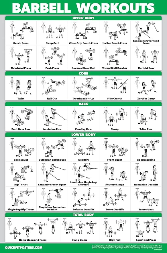 Palace Learning 11 Pack - Exercise Poster Set: Dumbbell, Suspension, Kettlebell, Resistance Bands, Stretching, Bodyweight, Barbell, Yoga, Exercise Ball, Muscular System, Medicine Ball