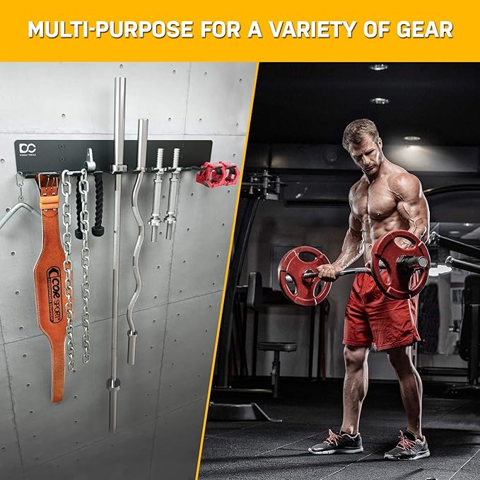 Double Circle Gym Storage Rack with 12 Hooks, Multi Purpose Gym Equipment Wall Rack Hanger for Pro Home Gym Storage for Exercise Bands, Barbell Bars, Jumprope (Hardware Included)
