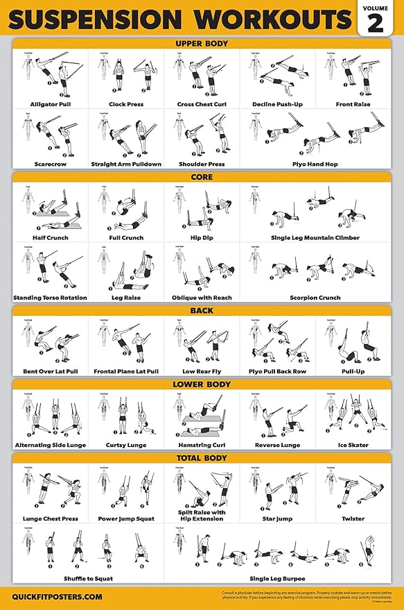 Palace Learning 16 Pack - Exercise Poster Set: Dumbbell, Suspension, Kettlebell, Resistance Bands, Medicine Ball, Battle Rope, Stretching, Bodyweight, Barbell, Yoga, Exercise Ball, Muscular