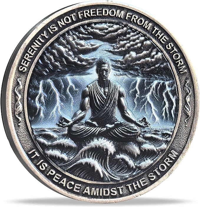 Serenity Peace Within The Storm Sobriety Chip AA Medallion with Serenity Prayer Perfect for AA Recovery and Motivation (Single Coin)