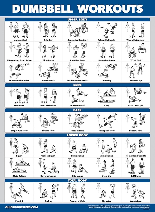 4 Pack - Cable Machine Workout Posters Volume 1 & 2 + Dumbbell Exercises + Barbell Exercises (LAMINATED, 18" x 24")
