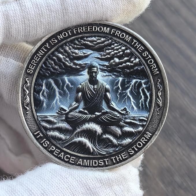 Serenity Peace Within The Storm Sobriety Chip AA Medallion with Serenity Prayer Perfect for AA Recovery and Motivation (Single Coin)