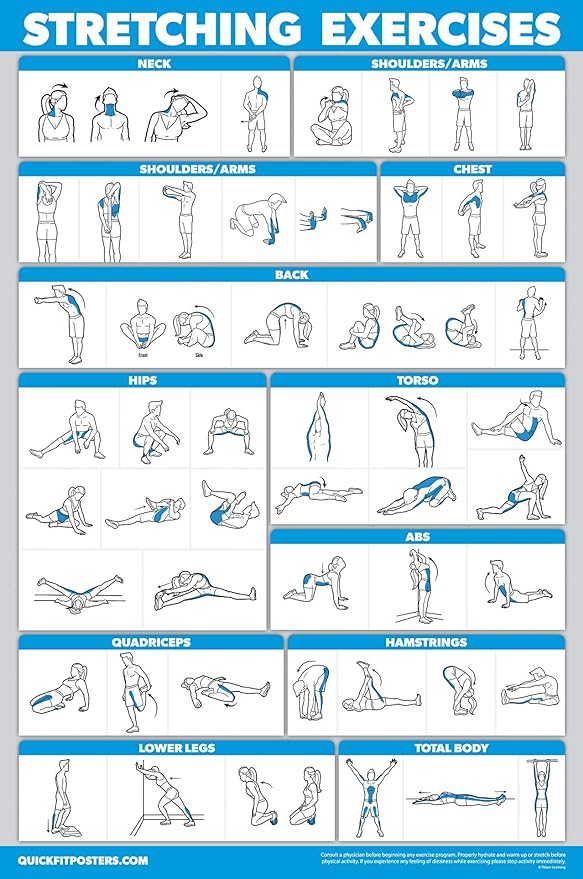 QuickFit 10 Pack - Exercise Workout Poster Set - Yoga Volume 1 & 2, Suspension, Kettlebell, Resistance Bands, Stretching, Bodyweight, Barbell, Exercise Ball (Laminated, 18" x 27")