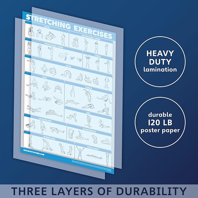 10 Pack: Exercise Workout Poster Set - Dumbbell Volume 1 & 2, Suspension, Kettlebell, Resistance Bands, Stretching, Bodyweight, Barbell, Yoga Poses + Dumbbell Exercise Cards
