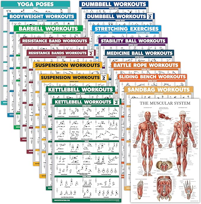 Palace Learning 18 Pack - Exercise Poster Set: Dumbbell, Suspension, Kettlebell, Resistance Bands, Stretching, Bodyweight, Barbell, Battle Rope, Yoga, Exercise Ball, Muscular and More