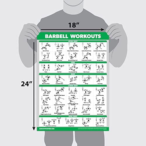 QUICKFIT Dumbbell Workouts and Barbell Exercise Poster Set - Laminated 2 Chart Set - Dumbbell Exercise Routine & Barbell Workouts (18" x 24")