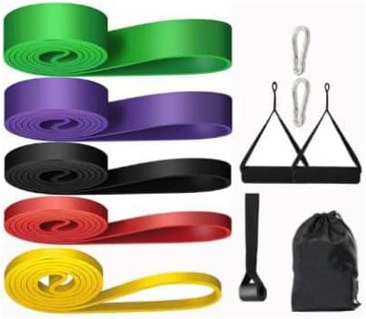 Resistance Bands Set - 5 Adjustable Exercise Bands, Handles, Door Anchor and Carry Bag | Pull Up Assistance Bands, Workout Bands Resistance, Large Rubber Bands Heavy Duty & Bands for Working Out