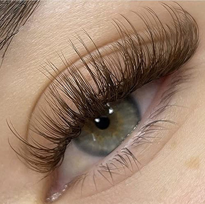 Brown Eyelash Extensions 0.07mm C/D Curl Volume Lash Extensions 8-14mm Self Fanning 3D 4D 6D 10D Rapid Automatic Blooming Flower Eyelashes Extension D Curl Used by FADVAN (Brown 0.07-D, 8-14mm)