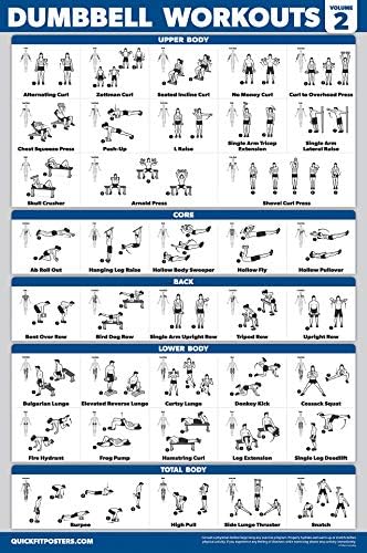 Palace Learning 15 Pack - Exercise Poster Set: Dumbbell, Suspension, Kettlebell, Resistance Bands, Stretching, Bodyweight, Barbell, Yoga, Battle Rope, Exercise Ball, Muscular, Medicine Ball