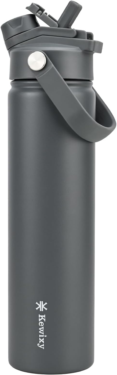 24 oz Insulated Water Bottle, 2-in-1 Lid, Straw & Spout with Protected, Leak Proof, Keep Cold, Stainless Steel, Metal, Reusable, Handle, for Travel, Gym and School, 2 Lids, Char Gray