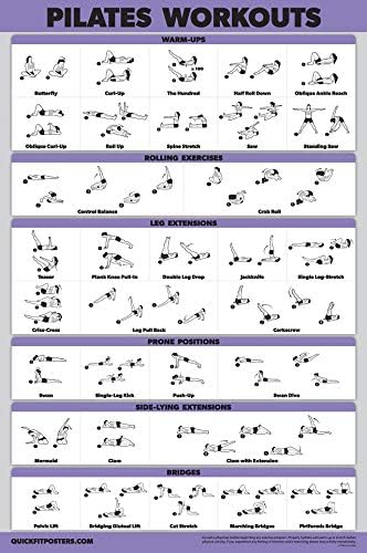 QuickFit 10 Pack - Exercise Workout Poster Set - Pilates, Dumbbell, Suspension, Kettlebell, Resistance Bands, Stretching, Bodyweight, Barbell, Yoga Poses, Exercise Ball (Laminated, 18" x 24")