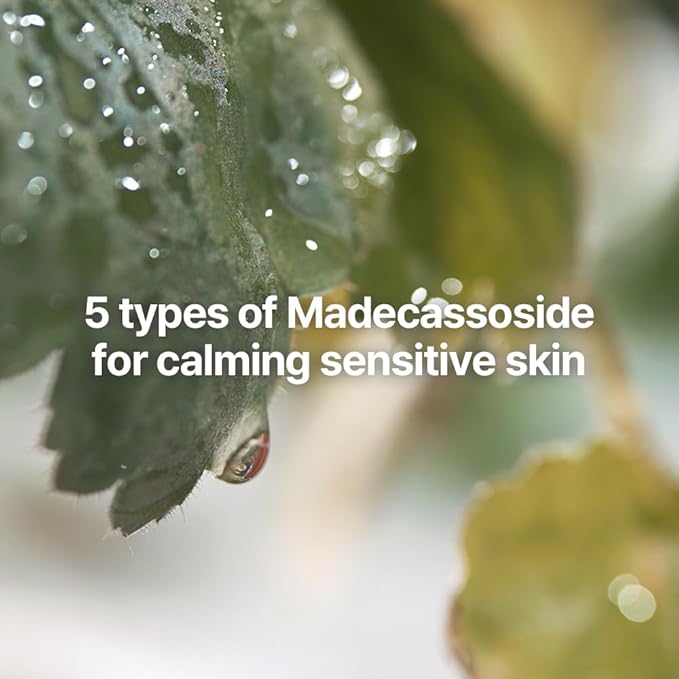 Pyunkang Yul PKY Calming Trial Gift Set Instantly Calms Sensitive Skin, Exfoliating Toner, Soothing Serum, and Facial Skin Hydrating Cream, Vegan, Korean Skincare (3-item set)