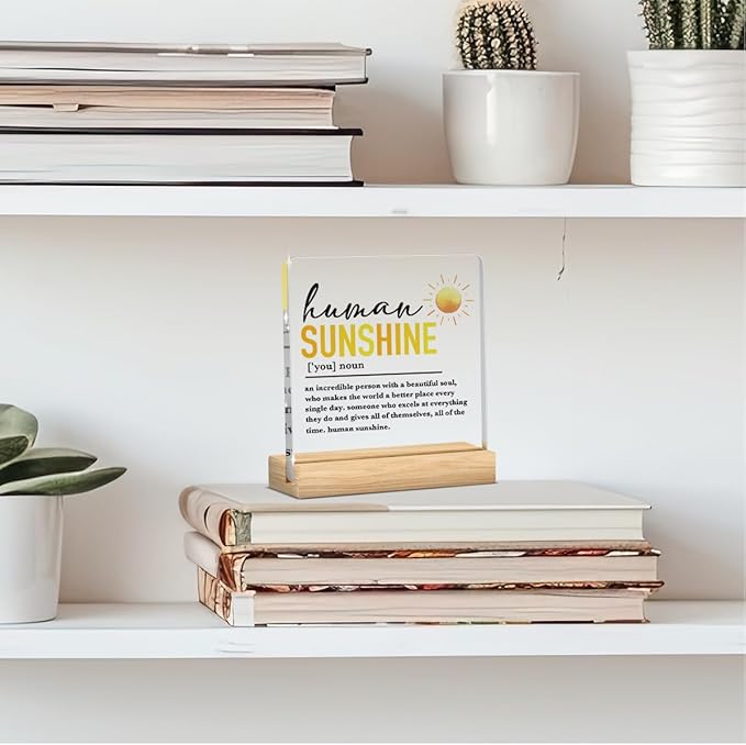 Office Decor for Women Coworker Gifts for Coworkers Sunshine Gifts for Women Leader Teacher Mentor, Human Sunshine Definition Motivational Acrylic Office Desk Decor