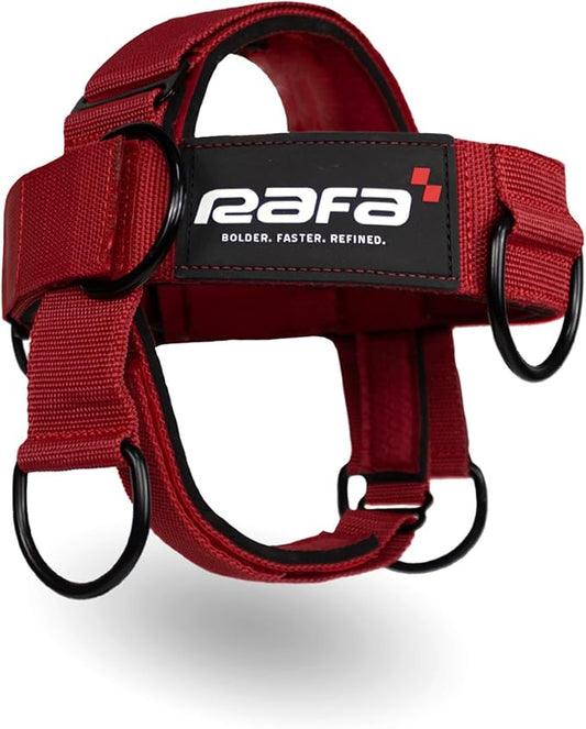 Iron Neck, Versatile Neck Exerciser, Strengthener and Trainer with Adjustable Head and Chin Strap, Portable Head Harness for Weight Lifting, Home and Gym Use