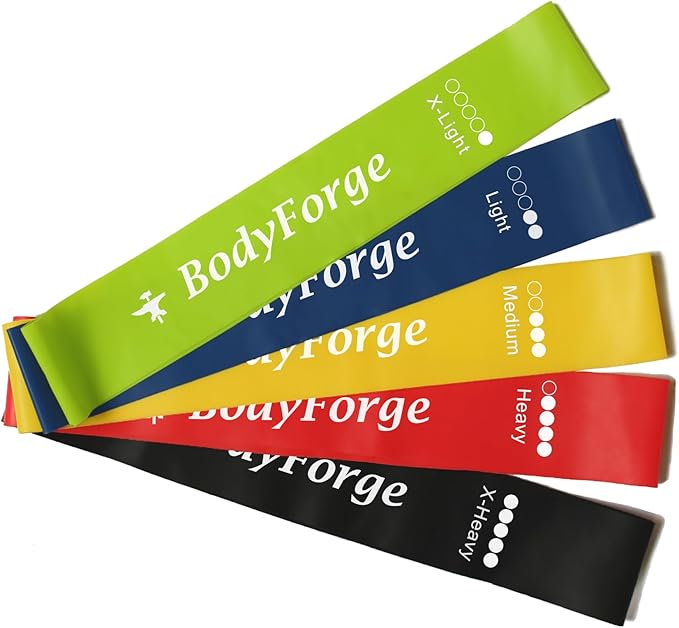 BodyForge Resistance Bands for Working Out for Women Men for Exercise Bands Resistance Bands for Legs Bands for Working Out Hip Thigh Glute Bands with Instruction Guide and Carry Bag, Set of 5