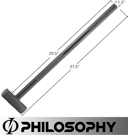 Philosophy Gym Fitness Hammer, 10 LB - Steel Hammer for Strength Training