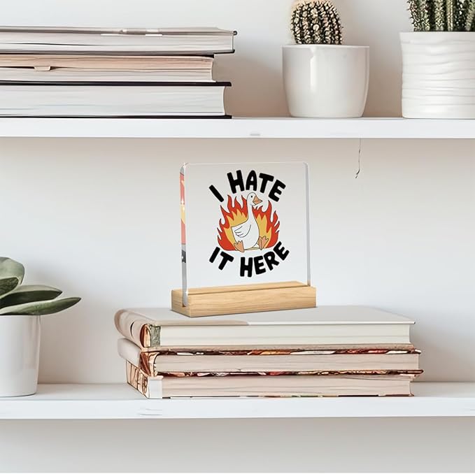 Mental Health Decor, Motivational Gifts for Women Men, Anxious Goose Inspirational Kindness Acrylic sign with Wooden office Accessories Bedroom Dorm Apartment Decor-Silly Goose I Hate It Here