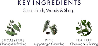 Aromatherapy Associates Support Breathe Bath and Shower Oil, Natural Body Oil to Clear Mind, Body and Spirit, Hydrating Body Oil Made with 3 Essential Oils (1.86 oz)