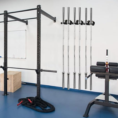 Olympic Barbell Hanger,Garage Gym Bar Wall Rack,Vertical Barbell Mount Rack,Double Barbell Holder Wall Mount,Space Saving Commercial or Home Gym Accessory,Holds 33mm Bar (2 hook black)