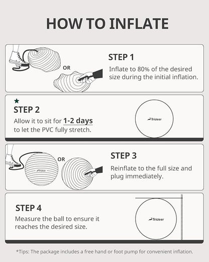 Trideer Exercise Ball for Yoga, Pilates & Fitness – Stability Ball Equipment for Home Gym & Office Chair, Core & Balance Training Accessories, Physical Therapy Equipment, Quick Pump Included, 5 Sizes