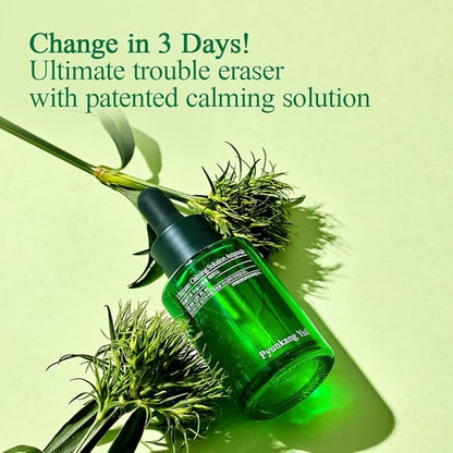 Pyunkang Yul PKY Ultimate Calming Solution Ampoule for Sensitive Skin with Patented Ingredients, Serum Intensely Calms & Soothes Redness with Cica & Tea Tree, Korean Skincare (1.01 Fl. Oz, 30ml)