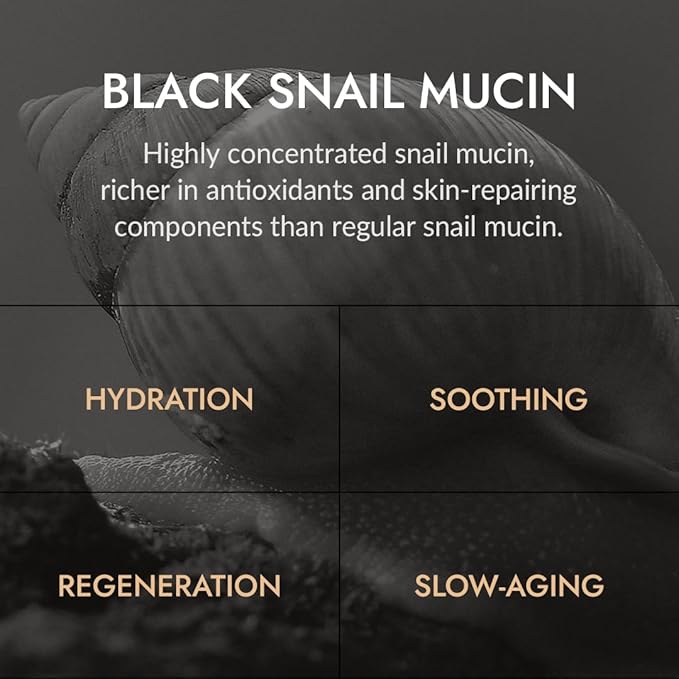 MIZON Black Snail All In One Cream Intensive Korean Skin Care Facial Moisturizing Snail Mucin Extract (2.54 fl oz)