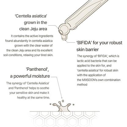 Master Serum Moisturizing Serum 3 Ingridients(ㅅ for Healthy Skin and Improve Skin Barrier | Cruelty Free Korean Glass Skincare (1.01 Fl Oz)