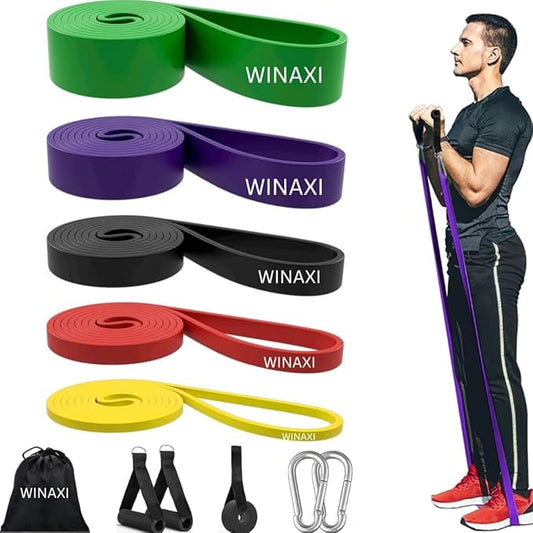 Resistance Bands Set - 5 Adjustable Exercise Bands, Handles, Door Anchor and Carry Bag | Pull Up Assistance Bands, Workout Bands Resistance, Large Rubber Bands Heavy Duty & Bands for Working Out