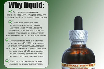 White Willow (Salix alba) Liquid Extract 4 fl.oz