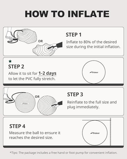 Trideer Exercise Ball for Yoga, Pilates & Fitness – Stability Ball Equipment for Home Gym & Office Chair, Core & Balance Training Accessories, Physical Therapy Equipment, Quick Pump Included, 5 Sizes