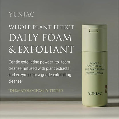 Whole Plant Daily Foam & Exfoliant (2.82 oz) – Matcha Facial Cleanser, Gentle Enzyme Foam, Suitable for Sensitive Skin, Korean Skincare, Rich Lather, Makeup Remover