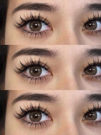 Manga Lashes Natural Look Clear Band Eyelashes,Japanese Anime Lashes 5 Pack,Cat Eyes