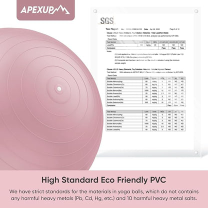 APEXUP Yoga Ball Exercise Ball Anti Slip Heavy Duty for Fitness, Balance & Core Workout