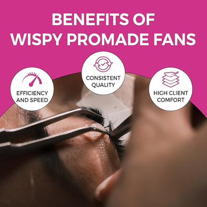 500 Wispy Promade Fans - 5D 0.07 Size 13mm Curl D - Natural Wispy Lashes Loose Premade Lash Fans for Eyelash Extensions Handmade Pre Made Eyelashes for Spiky, Volume, Natural Look