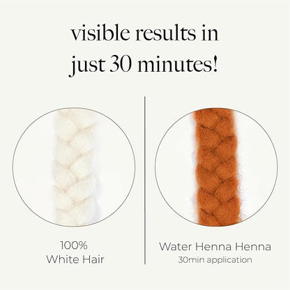Korean Henna Hair Dye 1 Set - Quick and Easy Application, PPD-free, Synthetic dye-free liquid Formula, Hair Color Made in Korea (Henna)