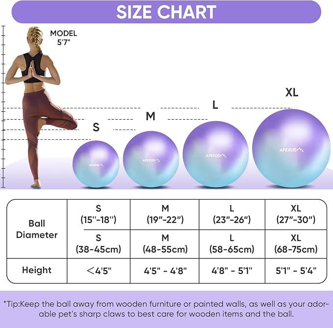 APEXUP Yoga Ball Exercise Ball Anti Slip Heavy Duty for Fitness, Balance & Core Workout