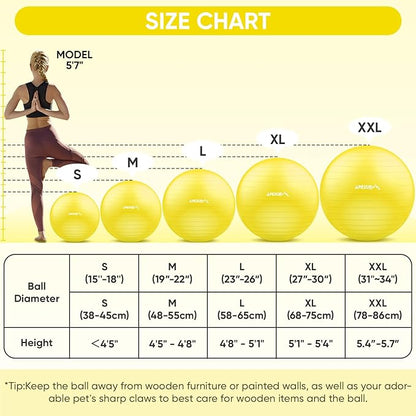 APEXUP Yoga Ball Exercise Ball Anti Slip Heavy Duty for Fitness, Balance & Core Workout