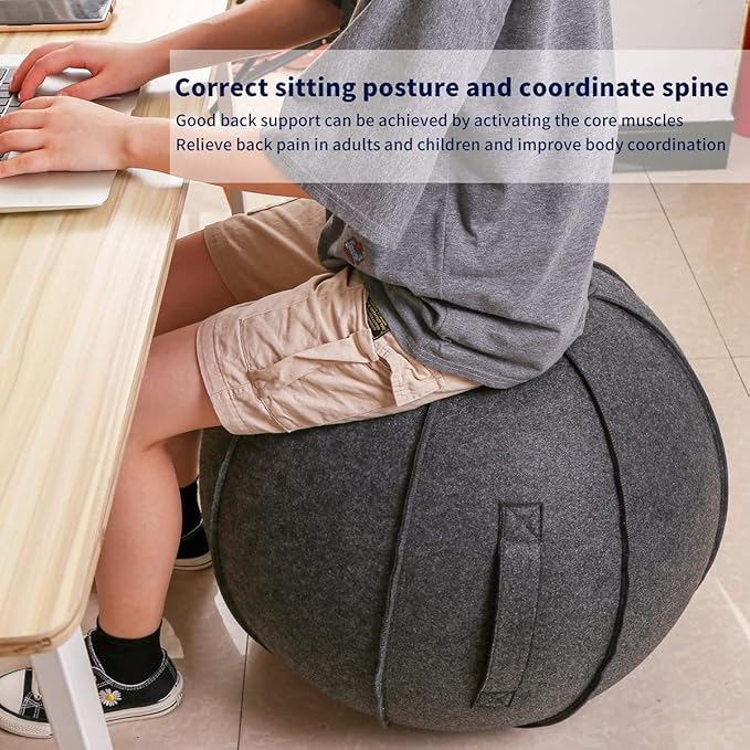 65cm Sitting Ball Chair for Office, Dorm, and Home, Pilates Exercise Yoga Ball with Cover, Lightweight Self-Standing Ergonomic Posture Activating Exercise Ball Solution with Handle and Pump
