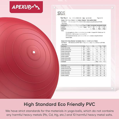 APEXUP Yoga Ball Exercise Ball Anti Slip Heavy Duty for Fitness, Balance & Core Workout