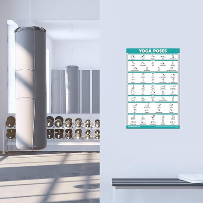 Palace Learning 11 Pack - Exercise Poster Set: Dumbbell, Suspension, Kettlebell, Resistance Bands, Stretching, Bodyweight, Barbell, Yoga, Exercise Ball, Muscular System, Medicine Ball