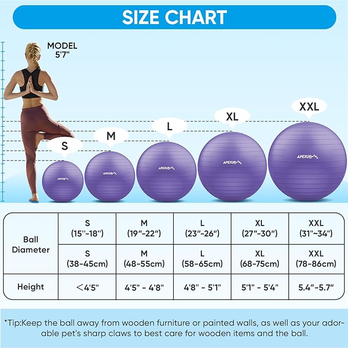 APEXUP Yoga Ball Exercise Ball Anti Slip Heavy Duty for Fitness, Balance & Core Workout