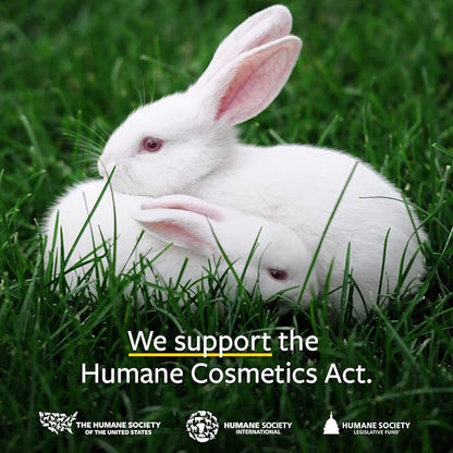 US Organic 100% Pure Frankincense (Boswellia Carteri) Essential Oil - Sourced from The Horn of Africa, USDA Certified Organic, Use Topically or in Diffuser, Perfect for Yoga or Meditation (5 ml)