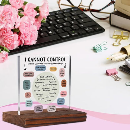 YODOCAMP I Can Control Psychology Student Graduation Gift Clear Acrylic 4.7 x 2.7 Inches Rectangular Tabletop Sign, Modern Inspirational Therapist Office Decor Plaque