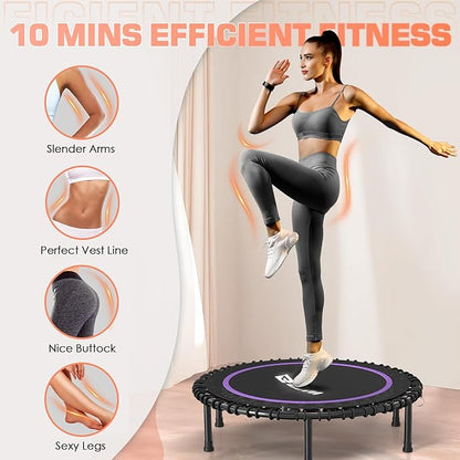 BCAN 450LBS/550LBS Foldable Mini Trampoline, 40"/48" Fitness Trampoline with Durable Bungees, Stable & Quiet Exercise Rebounder for Adults,Great Mini Trampoline for Indoor/Garden Workout - 2