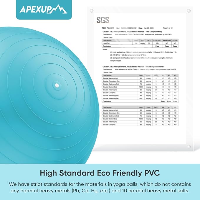 APEXUP Yoga Ball Exercise Ball Anti Slip Heavy Duty for Fitness, Balance & Core Workout