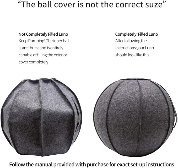65cm Sitting Ball Chair for Office, Dorm, and Home, Pilates Exercise Yoga Ball with Cover, Lightweight Self-Standing Ergonomic Posture Activating Exercise Ball Solution with Handle and Pump